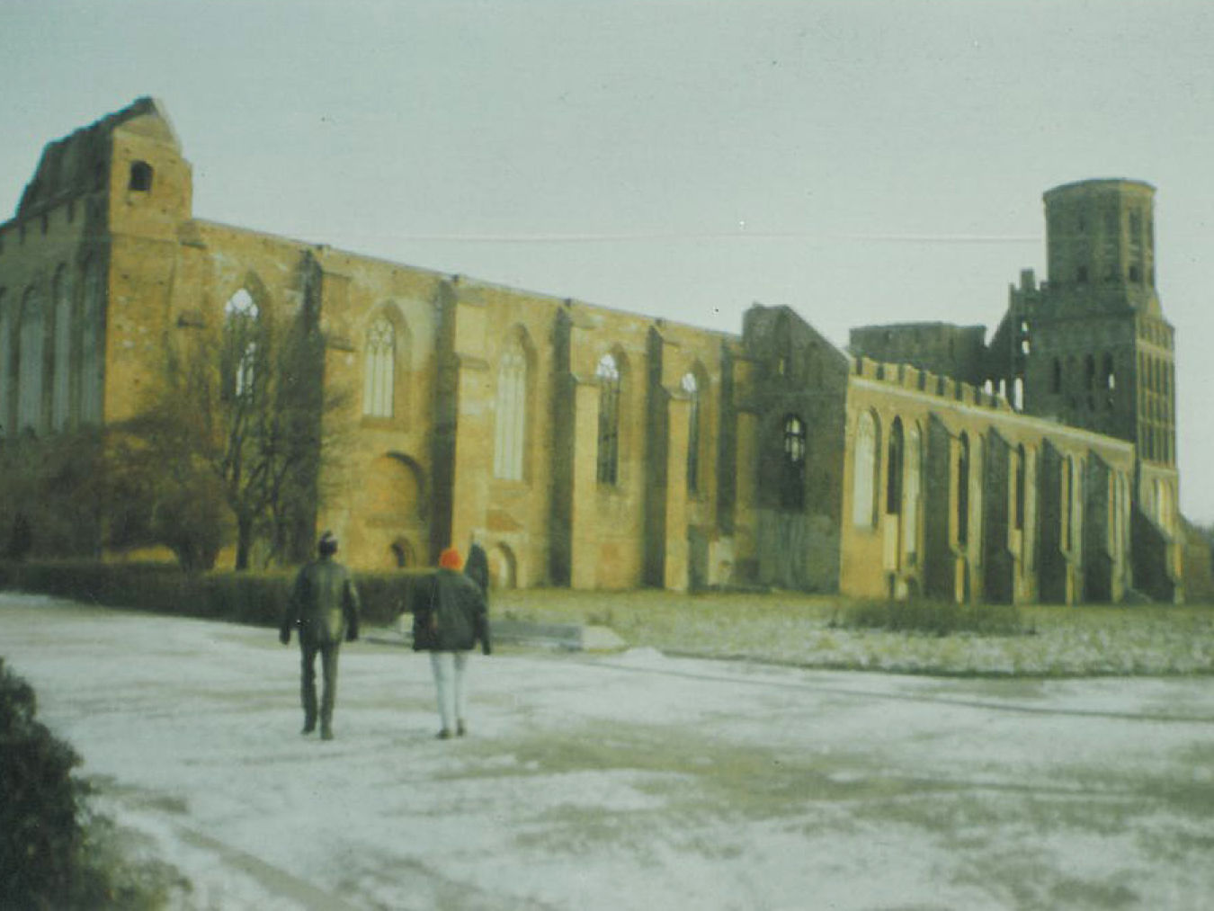 Der Dom zu Königsberg im Jahr 1992, damals noch eine Ruine in der Bäume wuchsen.   Die Exklave Kaliningrad durfte erst ab 1992 wieder von Deutschen besucht werden. 