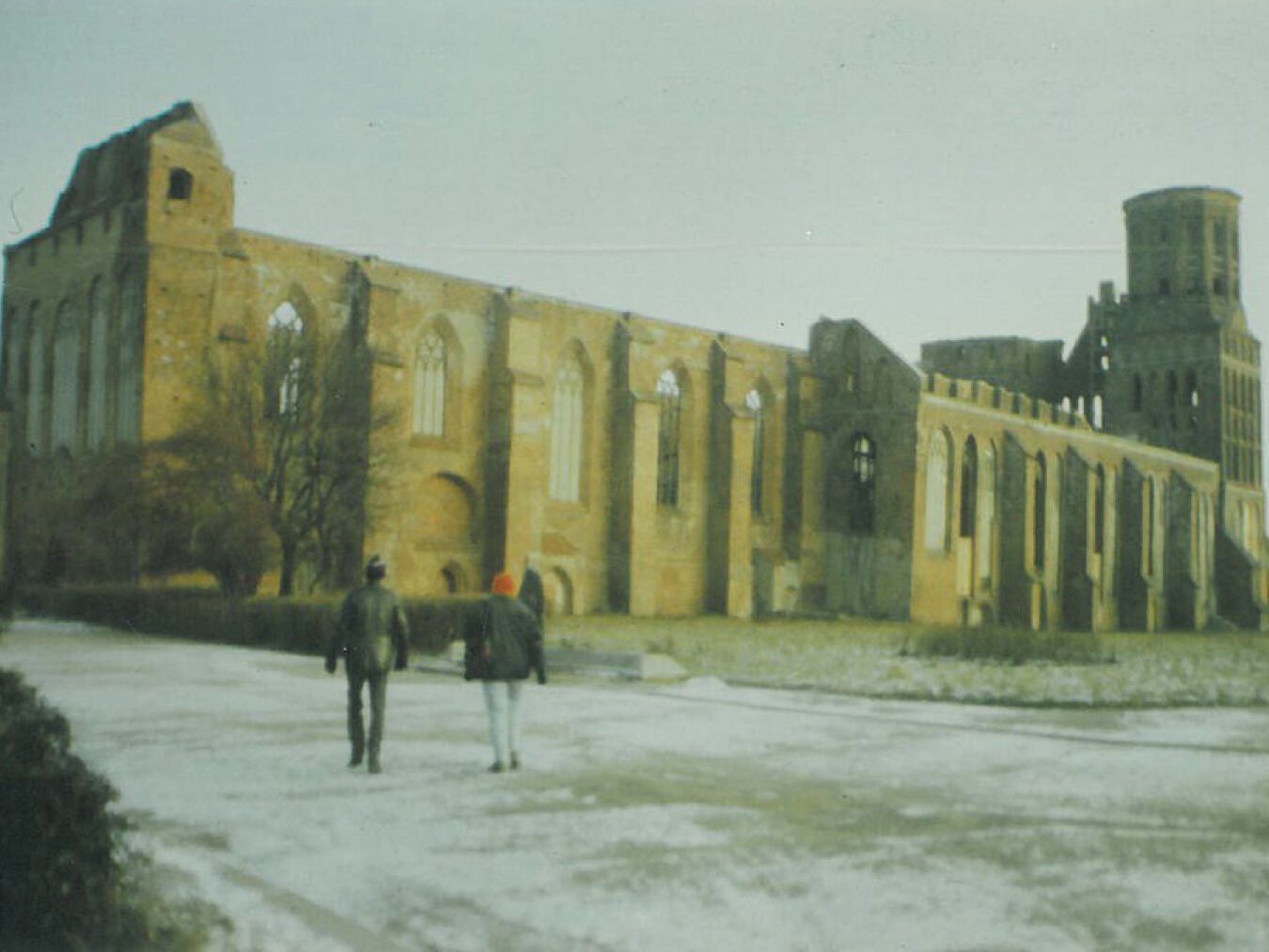 Königsberg Cathedral in 1992, at that time still a ruin in which trees grew. The Kaliningrad exclave was not allowed to be visited by Germans again until 1992.