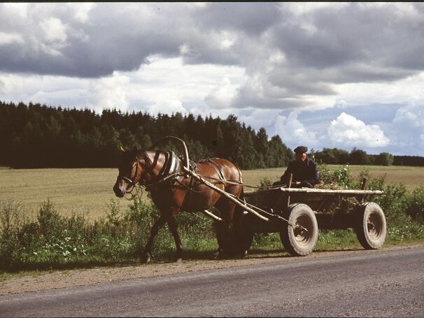 Panje wagons had been widely used in Eastern Europe for centuries. These are small two-axle wagons that are pulled by a Panje horse. On the roads of Russia, they often use the sandy hard shoulder, which is now mostly tarred.