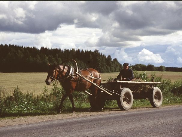 Panjewagen waren in Osteuropa seit Jahrhunderten weit verbreitet. Das sind kleine zweiachsige Wagen, die von einem Panjepferd gezogen werden. Auf den Straßen Russlands nutzen diese oft den sandigen Seitenstreifen, der heute inzwischen meist geteert ist. 